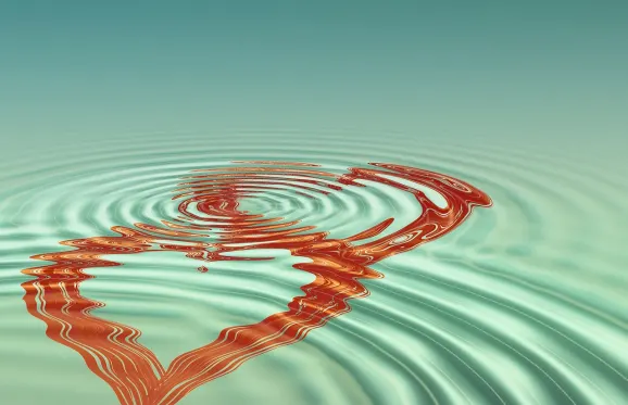 Rajbet Casino Soporte